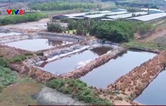 Gia Lai: Ô nhiễm nghiêm trọng từ trang trại chăn nuôi lợn sát khu dân cư