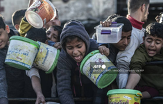 WFP cảnh báo nạn đói toàn diện ở Gaza trong bối cảnh nỗ lực đạt lệnh ngừng bắn mới