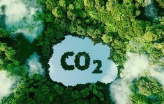 Sớm hoàn thiện đề án phát triển thị trường carbon