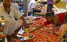 Lạm phát lương thực tại Ấn Độ gia tăng do nắng nóng