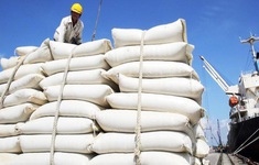 Doanh nghiệp Việt liên tiếp trúng các gói thầu xuất khẩu gạo