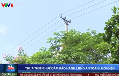 Thừa Thiên Huế đảm bảo an toàn hành lang lưới điện