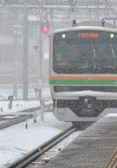 Gió mạnh và tuyết rơi dày tại Nhật Bản