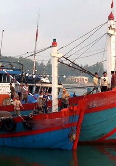 Nhiều tàu cá Việt Nam bị bắt giữ ở Indonesia