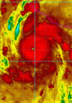 Mexico chuẩn bị đối mặt với trận bão “cực kỳ nguy hiểm”