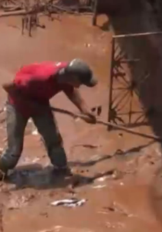 Brazil: Samarco đền bù hơn 25.000 USD mỗi nạn nhân vụ vỡ đập bùn thải