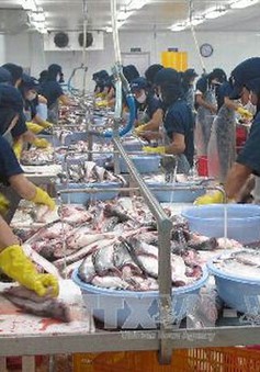 Thượng nghị sĩ Mỹ đề nghị bãi bỏ quy định mới về cá da trơn
