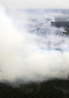 Malaysia điều máy bay hỗ trợ Indonesia dập tắt cháy rừng