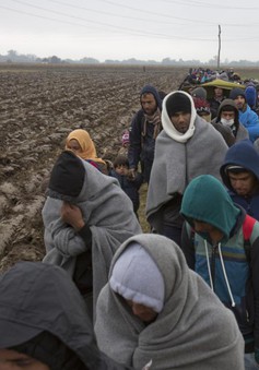 EU và các nhà lãnh đạo Balkan thống nhất kế hoạch người di cư