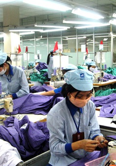 Bộ Lao động và Thương binh xã hội: Sẽ thanh tra lao động tại các DN dệt may