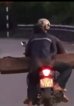 Ngăn chặn nạn lâm tặc vận chuyển gỗ lậu bằng xe gắn máy tại Quảng Nam