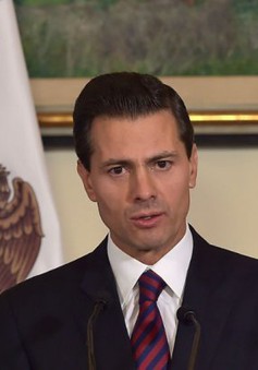 Mexico yêu cầu Ai Cập điều tra vụ bắn nhầm du khách