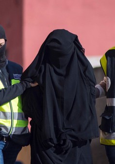 Áo bắt hai nghi can liên quan đến vụ khủng bố Paris