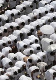 Giẫm đạp tại Thánh địa Mecca, it nhất 310 người thiệt mạng