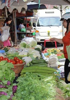 Hà Nội: Giá rau xanh tăng mạnh sau Tết