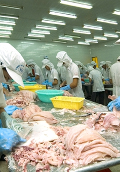 Việt Nam đứng trước nguy cơ mất thị trường xuất khẩu thủy sản