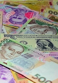 Ukraine: Đồng nội tệ mất giá kỷ lục, người dân đổ xô đi mua USD