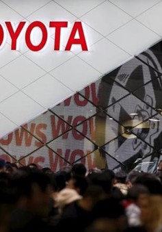 Toyota thu hồi hơn 1,6 triệu xe do lỗi bơm túi khí