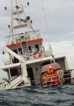 Tìm thấy thi thể thứ 3 vụ chìm tàu cá ở Bình Thuận