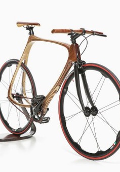 Xe đạp làm từ sợi carbon và gỗ