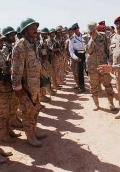 Yemen: Lực lượng ủng hộ chính phủ giành lại tỉnh Daleh