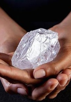 Bán đấu giá viên kim cương thô lớn nhất thế giới