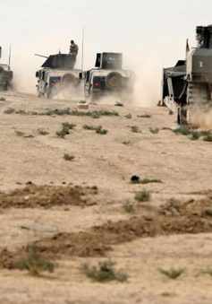 Các lực lượng Iraq tạm dừng chiến dịch tại Mosul