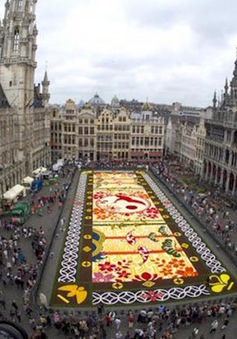 Choáng ngợp với 600.000 bông hoa tạo nên thảm hoa khổng lồ ở Bỉ