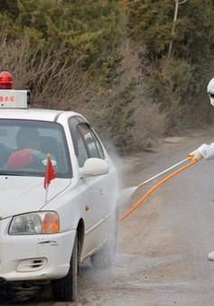 Hàn Quốc tiêu hủy 4 triệu con gia cầm, ngăn dịch cúm lan rộng