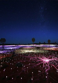 Ngỡ ngàng khung cảnh 50.000 bóng đèn lung linh chiếu sáng sa mạc
