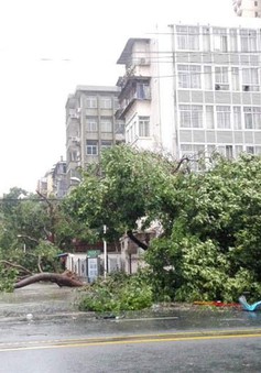 Ít nhất 7 người thiệt mạng do siêu bão Meranti tại tỉnh Phúc Kiến (Trung Quốc)