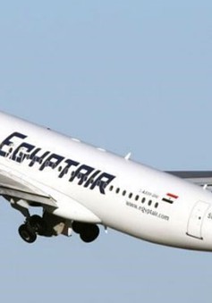 Máy bay MS804 mất tích tác động tiêu cực tới kinh tế Ai Cập
