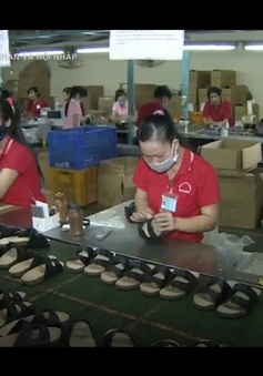 Giải quyết bài toán nguyên phụ liệu cho ngành da giày Việt Nam