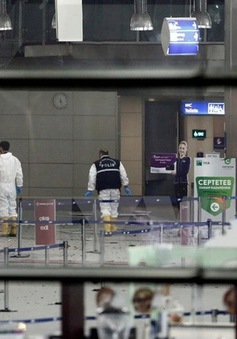 13 nghi can khủng bố Istanbul hầu tòa