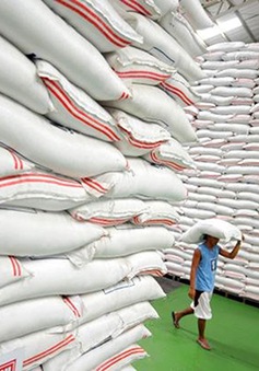 Thái Lan sẽ không mua gạo dự trữ của nông dân