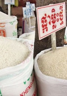 Campuchia thành lập Ủy ban đặc biệt ngăn chặn nhập lậu gạo