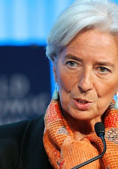 Tổng Giám đốc IMF hầu tòa do tắc trách