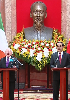 Quan hệ Việt Nam - Ireland đã đạt được những kết quả tích cực