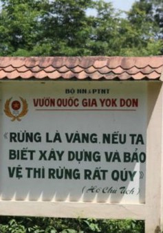 Đề nghị dừng chuyển đổi rừng thành thủy điện Đrăng Phốk