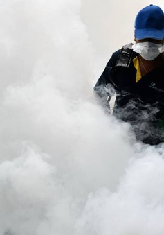 Số ca nhiễm Zika tại Singapore tăng lên 151 trường hợp