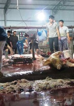 Khánh Hòa: Khu giết mổ gia súc, gia cầm tập trung 15 năm vẫn chưa xong
