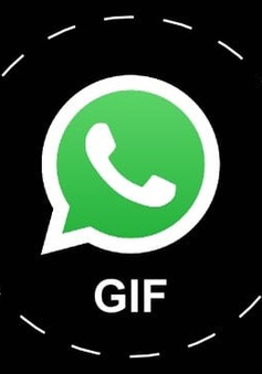 WhatsApp sẽ sớm hỗ trợ đính kèm ảnh GIF khi chat
