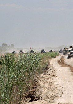 Quân đội Iraq giành lại một phần thành phố Fallujah từ IS
