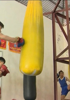 Những yếu tố tạo nên thành công của Kick Boxing Hà Nội