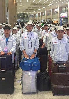 Hàn Quốc dự kiến tuyển 1.300 lao động ngư nghiệp Việt Nam