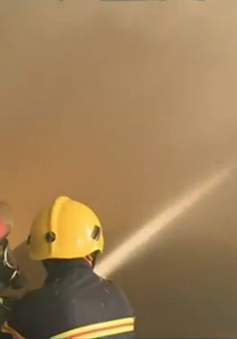 Cà Mau: Cháy lớn thiêu rụi trên 1.500 m2 xưởng chế biến Comphosite