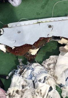 Ai Cập bác thông tin có vụ nổ trên chuyến bay MS804