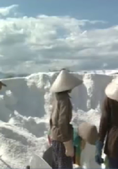 Các địa phương ven biển Nam Trung Bộ đề xuất mua tạm trữ muối