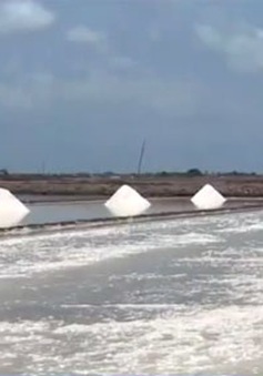 Ưu tiên mua tạm trữ muối ở địa phương có tồn đọng lớn