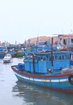 Nghịch lý thừa - thiếu khu neo đậu tàu thuyền ở miền Trung